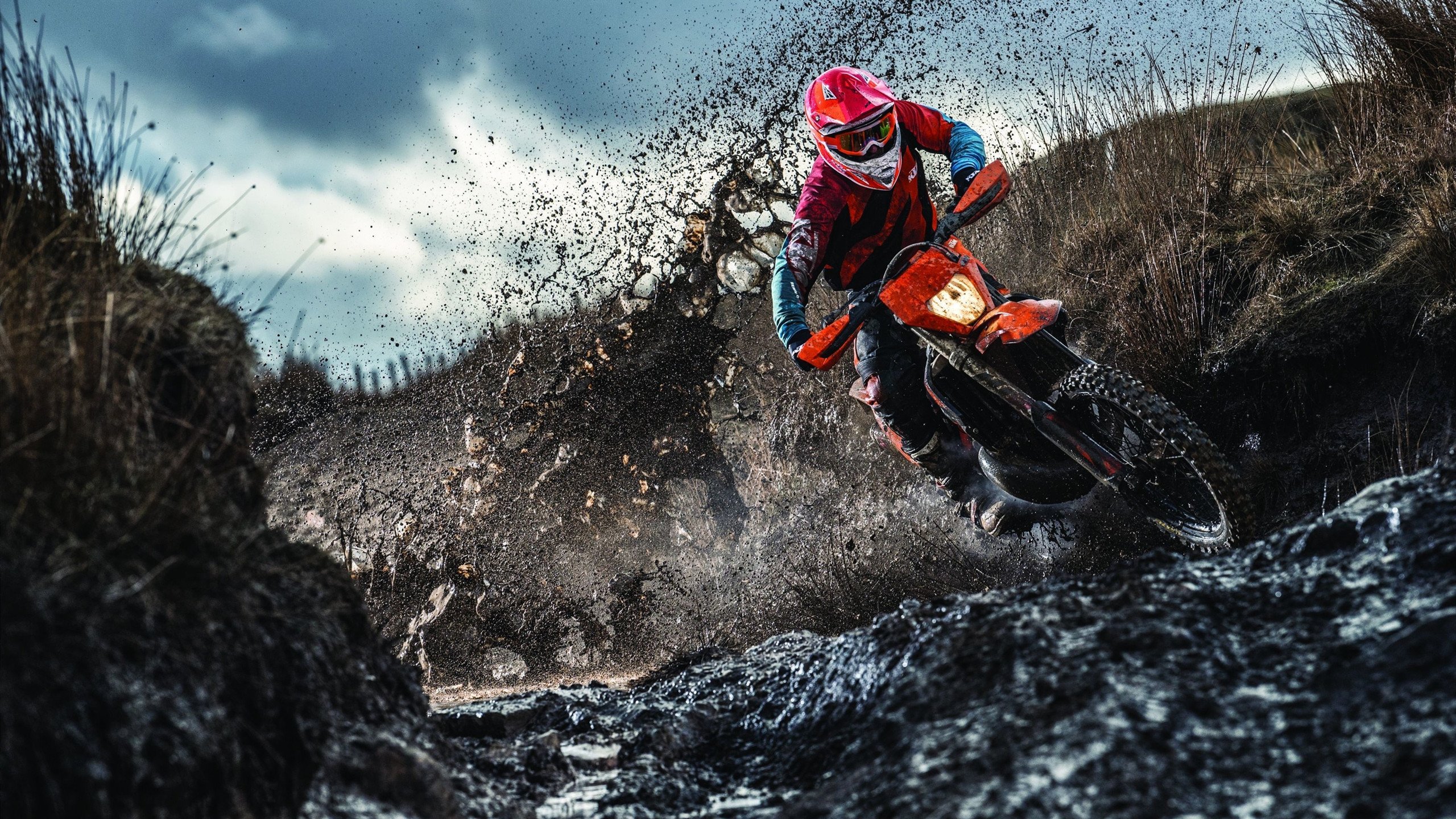 TA：阿隆索训练有俯卧撑等处罚措施；皇马球员反应褒贬不一，阿隆索什么水平